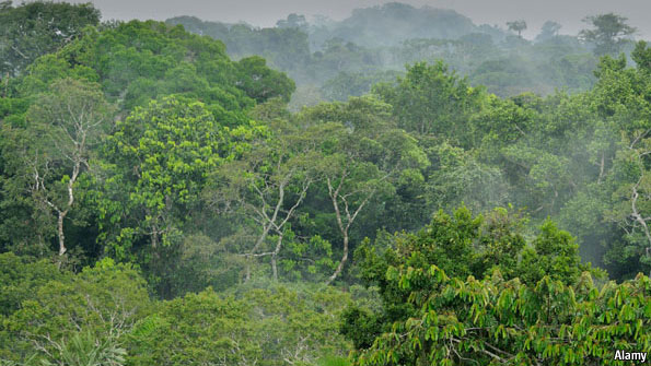 Ecuador's Environment: Reality Check | The Economist