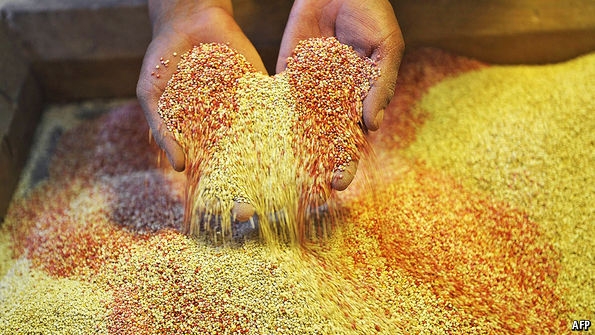 In praise of quinoa | The Economist