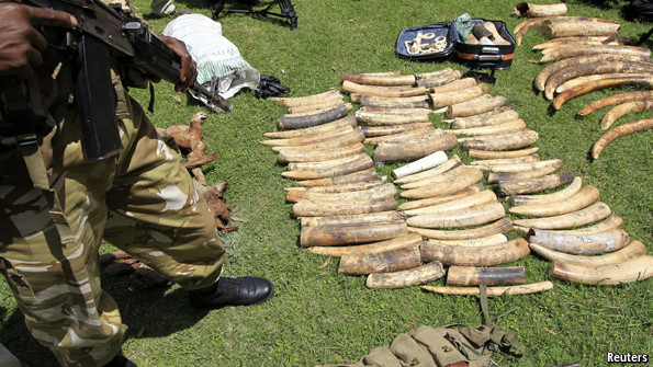 Image result for poaching in Kenya