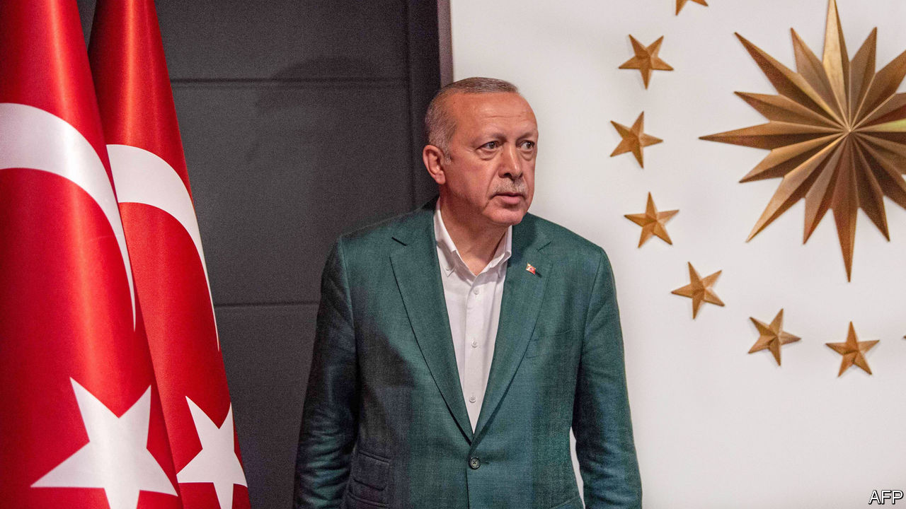 Image result for erdogan