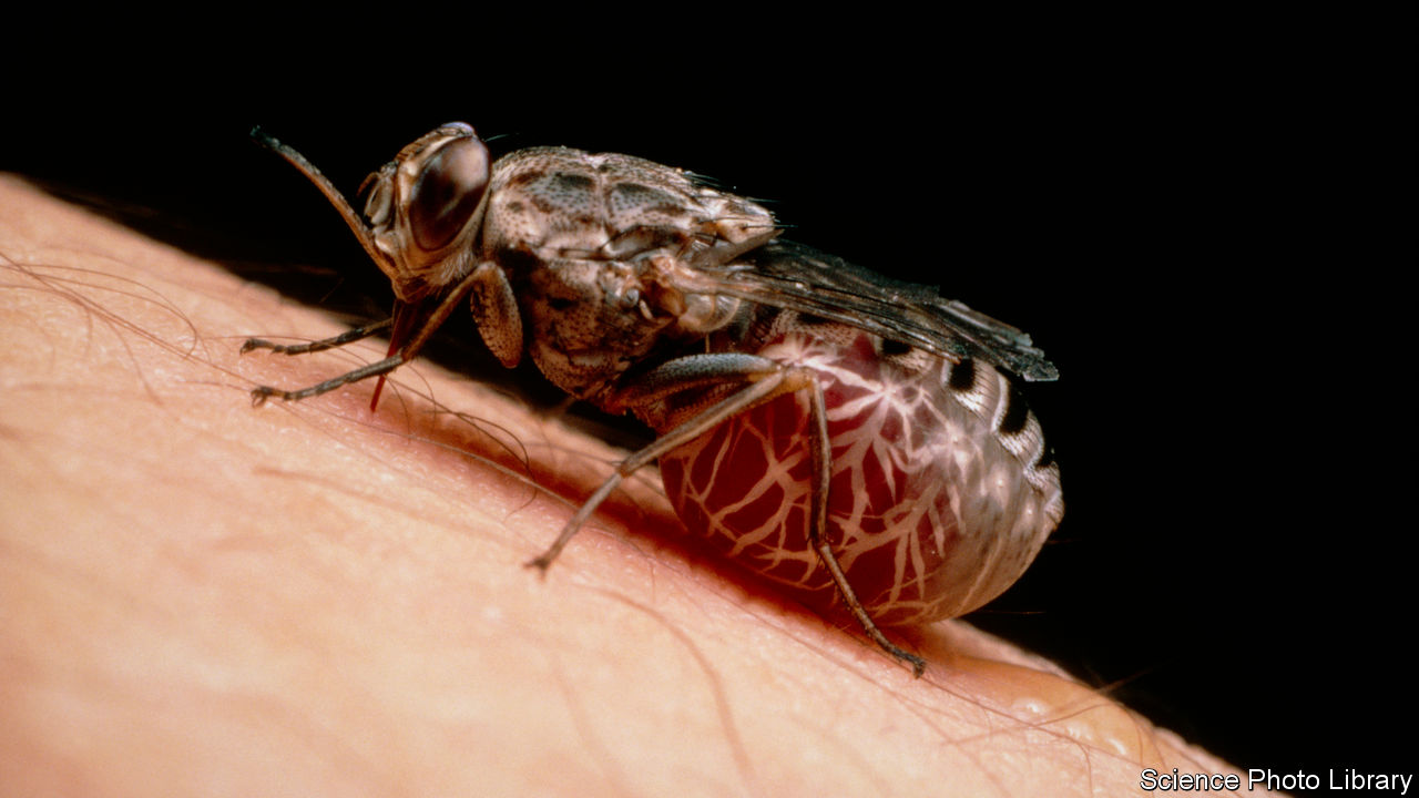 machine-learning-can-control-tsetse-flies-tropical-diseases