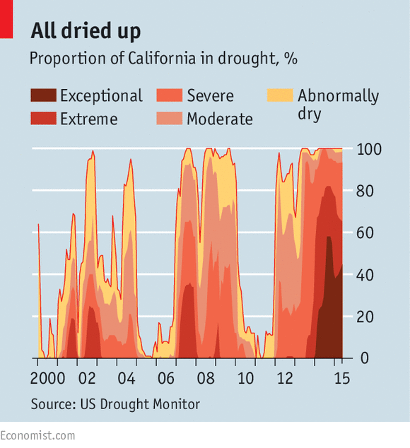 All the leaves are brown - California’s drought