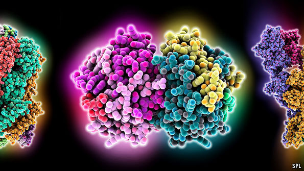 how-to-determine-a-protein-s-shape-molecular-biology