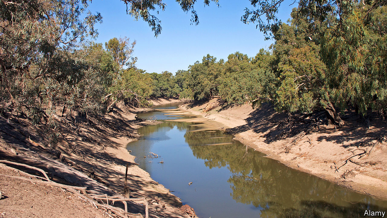 Пересыхающие реки называют. Реки Дарлинг и Муррей. Река Дарлинг в Австралии. Река Муррей в Австралии. Река Муррей,река Дарлинг.